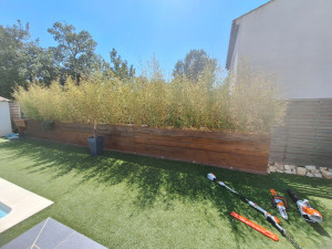 Photo de galerie - Taille de haies et d'arbustes