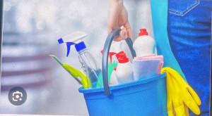 Photo de galerie - Femme de ménage 