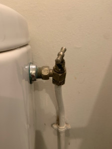 Photo de galerie - Piw