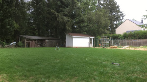 Photo de galerie - Entretien espace vert