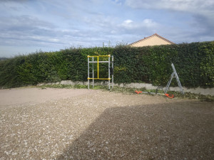 Photo de galerie - Taille de haies et d'arbustes