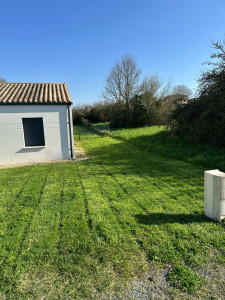 Photo de galerie - Tonte de pelouse 