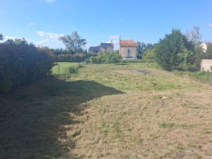 Photo de galerie - 1500m² densité de végétation importante