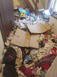 Photo de galerie - Nettoyage en profondeur