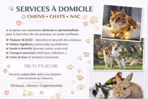 Photo de galerie - Informations diverses