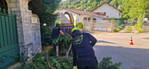 Photo de galerie - Broyage des branches 