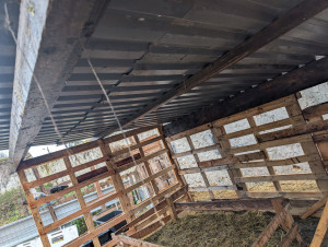 Photo de galerie - Construction d'un abri pour animaux 
