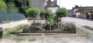 Photo de galerie - Massif 