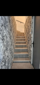 Photo de galerie - Réalisation des enduits aux murs et peinture plafond /murs et pose de papier avec raccords