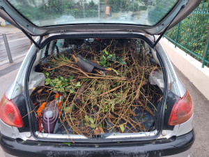 Photo de galerie - Évacuation déchets - Gravats