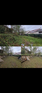 Photo de galerie - Debroussaillage terrain 350m2 laissé à l'abandon depuis 2ans