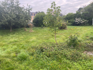 Photo de galerie - Paysagiste - Aménagement du jardin