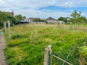 Photo de galerie - Débroussaillage d’un terrain ( avant intervention )