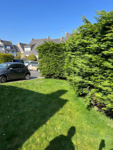 Photo de galerie - Taille de haies