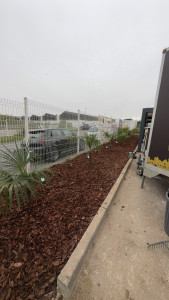 Photo de galerie - Pose de paillages avec pose de palmiers 