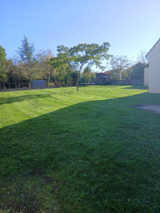 Photo de galerie - Tonte de pelouse 