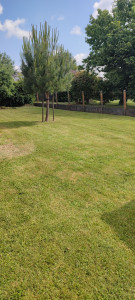 Photo de galerie - Tonte de pelouse - Débroussaillage