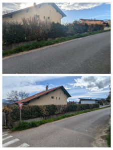 Photo de galerie - Taille de haies et d'arbustes