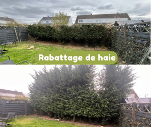 Photo de galerie - Chantier de rabattage de haie !
