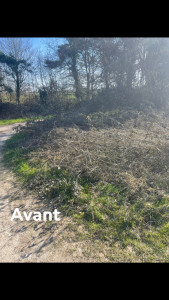 Photo de galerie - Jardinier