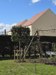 Photo de galerie - Paysagiste - Aménagement du jardin