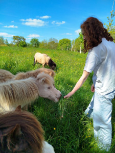 Photo de galerie - Garde de 6 poneys