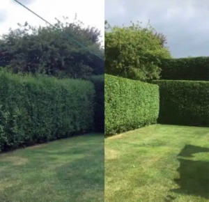 Photo de galerie - Taille