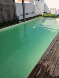 Photo de galerie - Entretien piscine