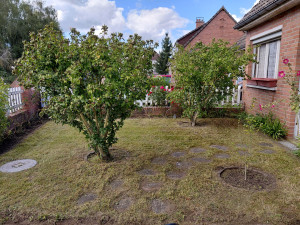 Photo de galerie - Voici une réalisation apres un jardin laisser a
 l’abandon pendant plusieurs mois.