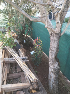 Photo de galerie - Paysagiste - Aménagement du jardin