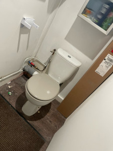 Photo de galerie - Remplacement d’un WC