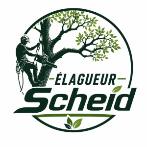 Photo de galerie - élagage et lavage toiture pour plus d’informations veuillez me contacter 