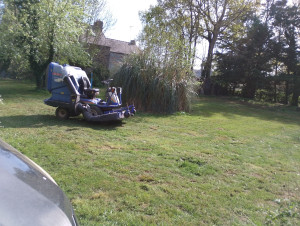 Photo de galerie - Tonte de pelouse - Débroussaillage