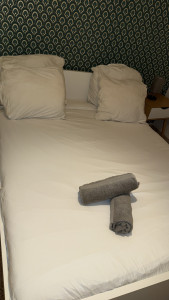 Photo de galerie - Ménage dans les Ronn