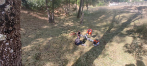 Photo de galerie - Machine Stihl professionnel FS 461 C travail a la tâche pas a l'heure ?