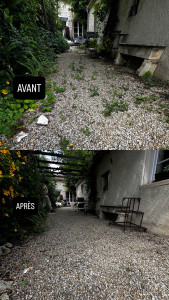 Photo de galerie - Désherbage d’une allée 