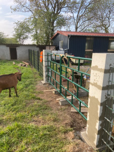 Photo de galerie - Portail avec les poteaux en béton