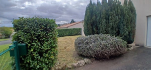 Photo de galerie - Remise en état de jardin : débroussaillage, tonte, mise à niveau haies et arbustes..