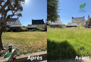 Photo de galerie - Tonte de pelouse - Débroussaillage