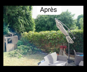 Photo de galerie - Tonte de pelouse - Débroussaillage