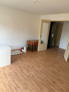 Photo de galerie - Peinture des murs et plafond + pose de parquet 