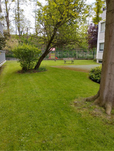 Photo de galerie - Jardim 