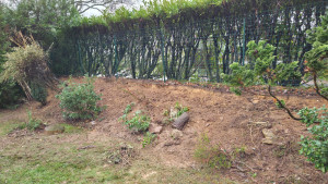 Photo de galerie - Jardinier