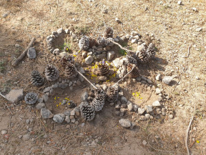 Photo de galerie - Activité création de maisons pour les 