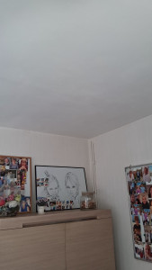 Photo de galerie - Peinture plafond