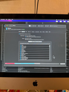 Photo de galerie - Synchronisation iMac / iPhone – transfert de playlists, configuration et assistance Apple