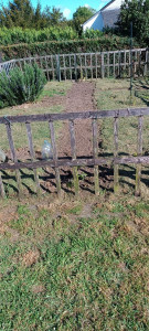 Photo de galerie - Entretien d'un potager Bio façon Permaculture 