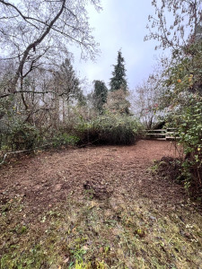 Photo de galerie - Débroussaillage de ronces 