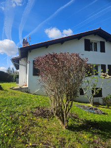 Photo de galerie - Petit élagage d'un Lophomyrtus