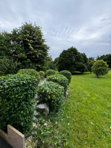 Photo de galerie - Remise en forme d’arbuste